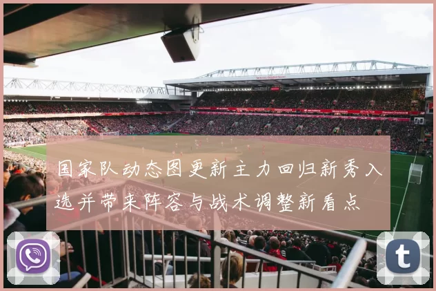 国家队动态图更新主力回归新秀入选并带来阵容与战术调整新看点