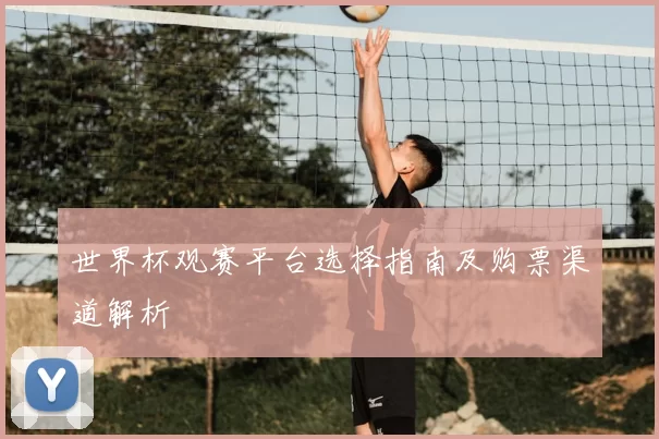 世界杯观赛平台选择指南及购票渠道解析