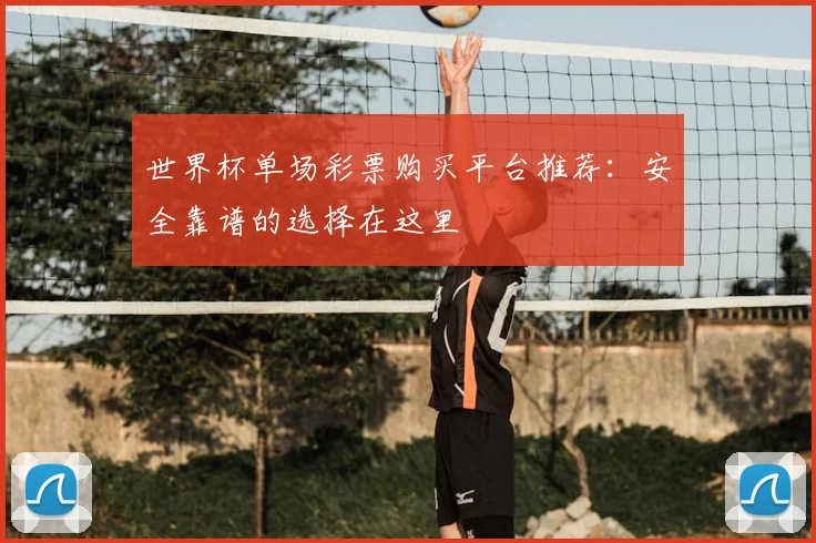 世界杯单场彩票购买平台推荐:安全靠谱的选择在这里