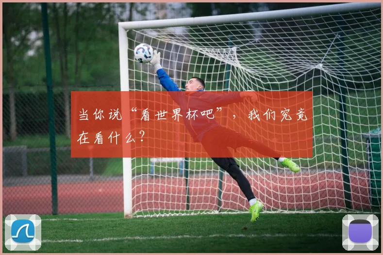 当你说“看世界杯吧”，我们究竟在看什么？