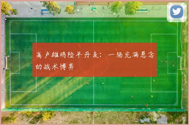 高卢雄鸡险平丹麦：一场充满悬念的战术博弈