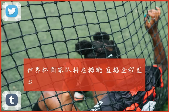 世界杯国家队排名揭晓 直播全程直击