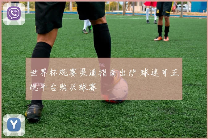 世界杯观赛渠道指南出炉 球迷可正规平台购买球赛